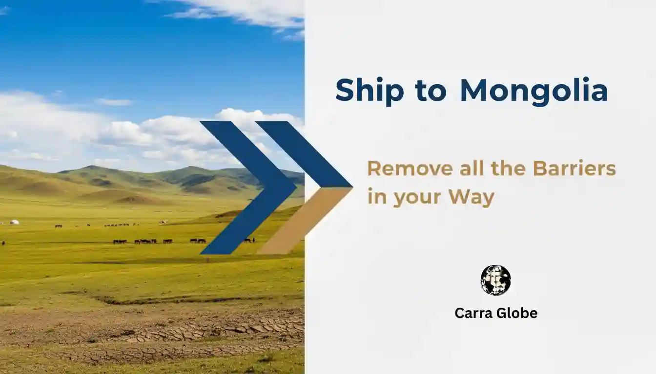 Importer of Record in Mongolia