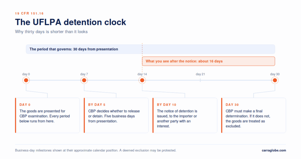 UFLPA detention timeline showing the thirty day clock running from presentation for CBP examination rather than from the notice of detention